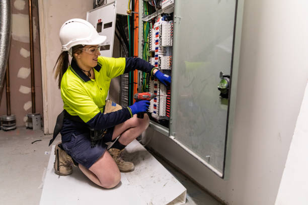 Best Electric Panel Repair  in Lan, MI