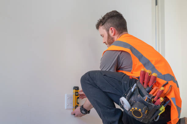 Best Electrical Rewiring Services  in Lan, MI